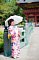 t_DSC_3553.jpg
