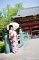 t_DSC_3556.jpg