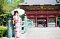 t_DSC_3558.jpg