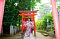 t_DSC_3593.jpg