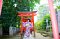 t_DSC_3594.jpg