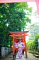 t_DSC_3595.jpg