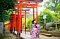 t_DSC_3609.jpg
