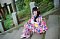 t_DSC_3677.jpg