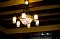 t_DSC_3684.jpg