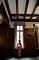 t_DSC_3746.jpg
