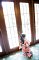 t_DSC_3770.jpg