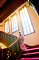 t_DSC_3781.jpg