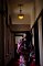 t_DSC_3807.jpg