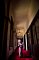 t_DSC_3809.jpg
