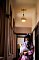 t_DSC_3812.jpg