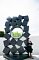 t_DSC_4752.jpg
