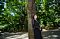 t_DSC_4794.jpg