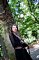 t_DSC_4798.jpg