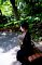 t_DSC_4806.jpg