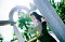 t_DSC_5043.jpg