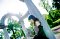 t_DSC_5056.jpg