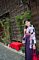 t_DSC_6309.jpg
