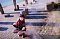 t_DSC_7673.jpg