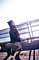 t_DSC_7701.jpg
