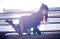 t_DSC_7712.jpg