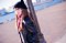 t_DSC_7731.jpg