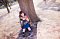 t_DSC_1380.jpg