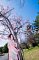 t_DSC_5809.jpg