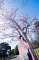 t_DSC_5810.jpg