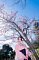 t_DSC_5812.jpg