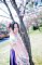 t_DSC_5818.jpg