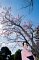 t_DSC_5822.jpg