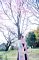 t_DSC_5826.jpg