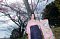 t_DSC_5830.jpg