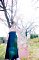 t_DSC_5834.jpg