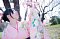 t_DSC_5845.jpg
