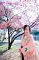 t_DSC_5907.jpg