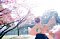 t_DSC_5917.jpg