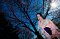 t_DSC_6027.jpg