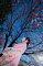 t_DSC_6030.jpg