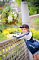 t_DSC_8091.jpg