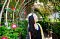 t_DSC_9271.jpg