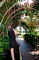 t_DSC_9272.jpg