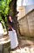 t_DSC_9309.jpg