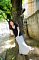 t_DSC_9316.jpg