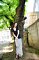 t_DSC_9321.jpg