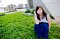 t_DSC_6224.jpg