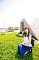t_DSC_6244.jpg