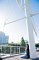 t_DSC_1829.jpg