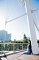 t_DSC_1833.jpg